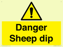 danger-sheep-dip~